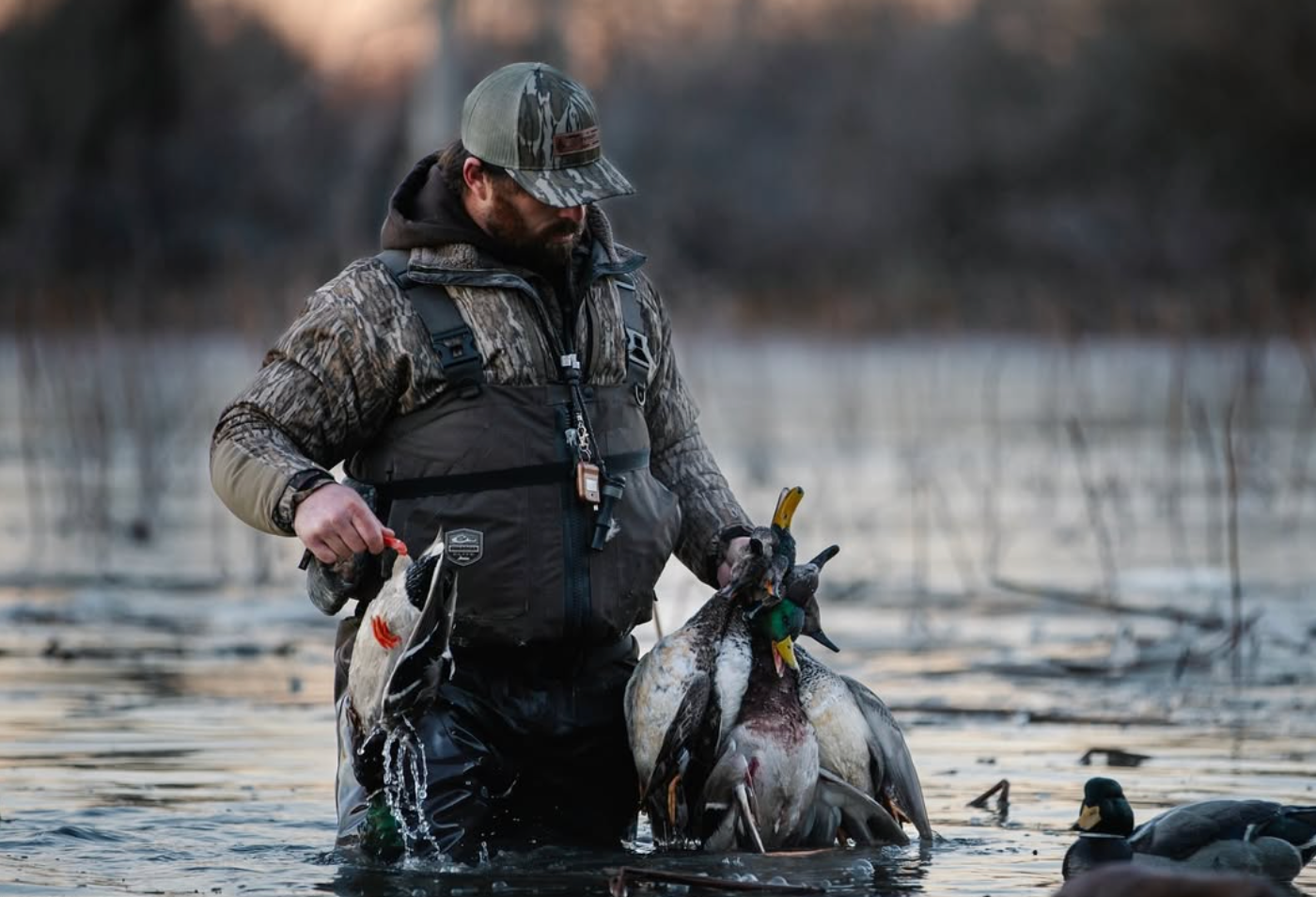 Drake Waterfowl