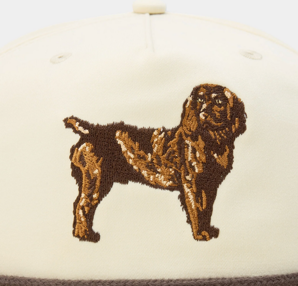 Boykin Spaniel Hat