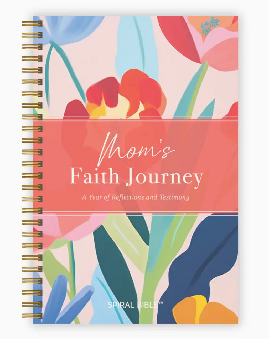 Mom's Faith Journey: A Year of Faith & Testimony