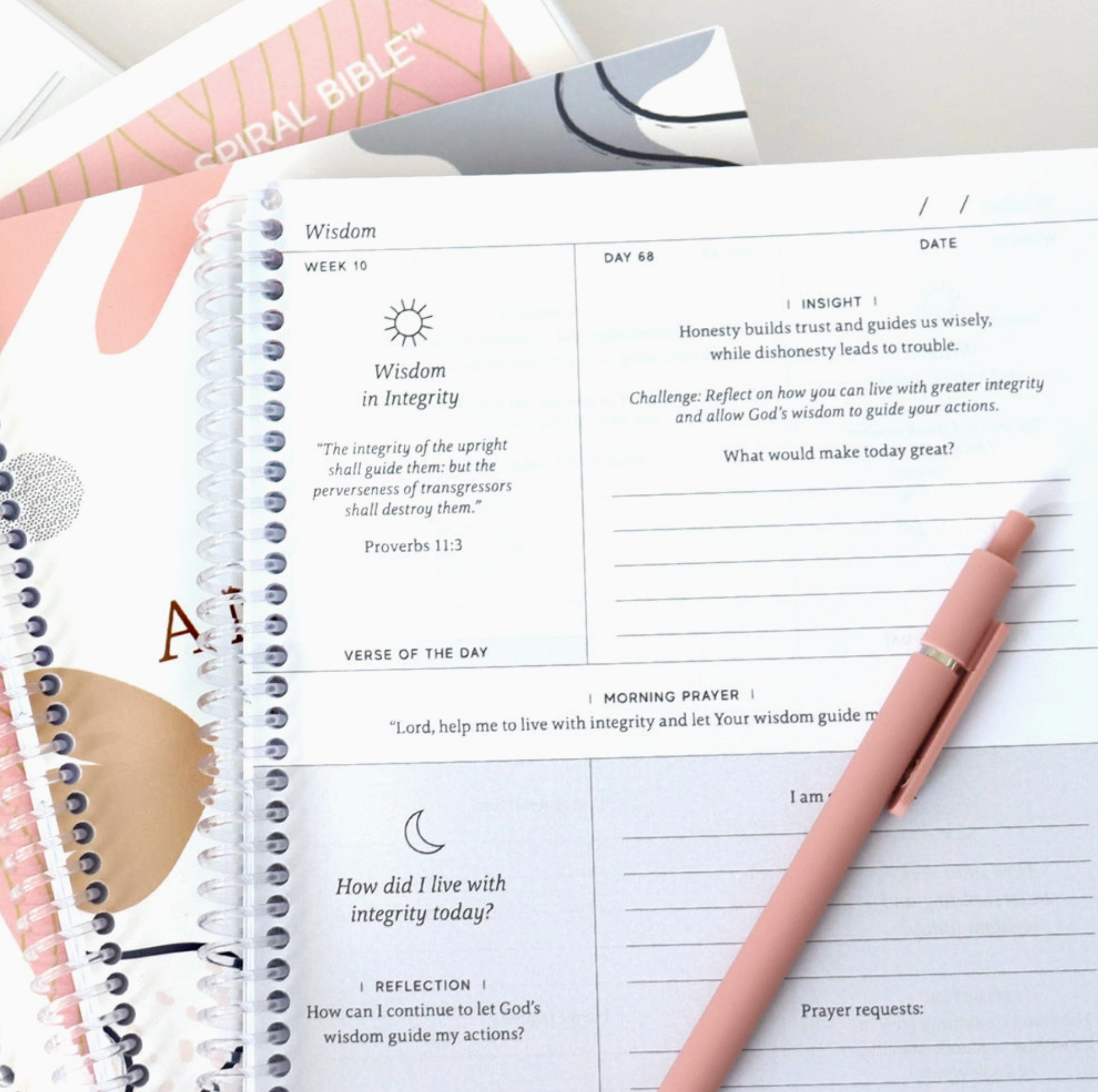 Anchored in His Word: A 90 Day Devotional