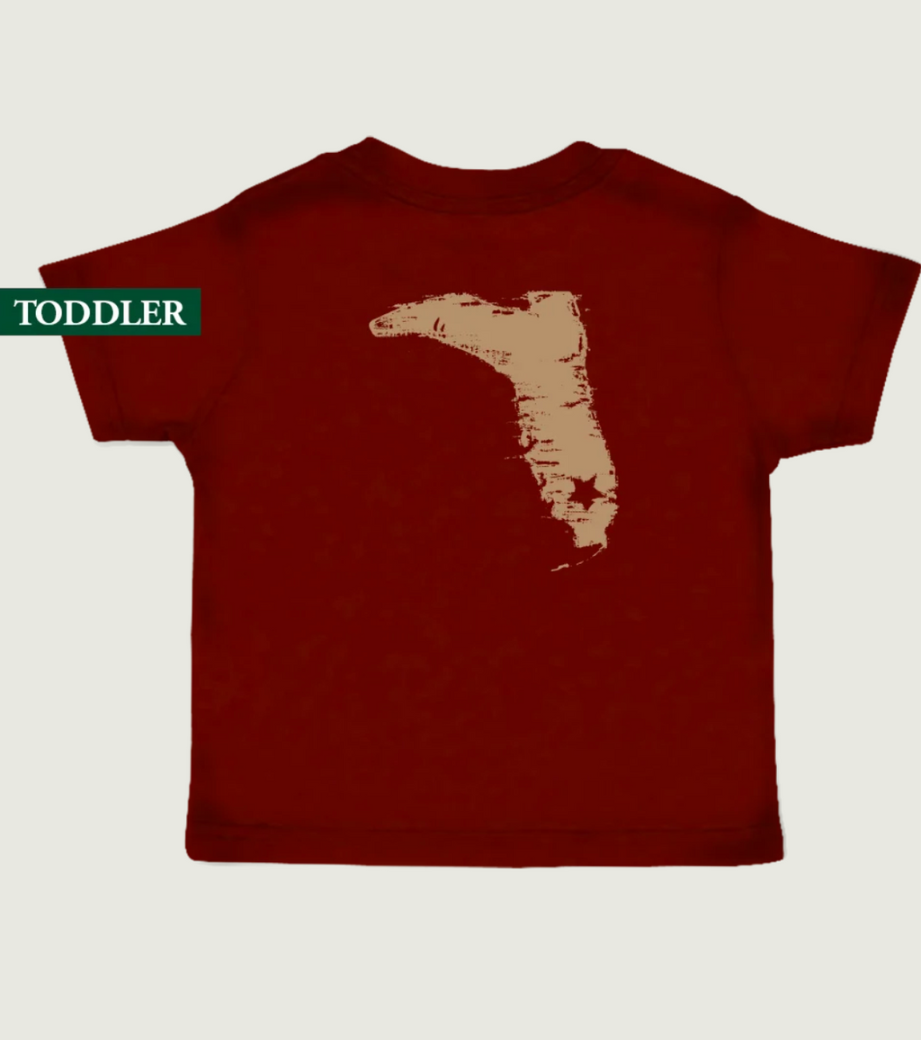 Toddler Distressed Boot