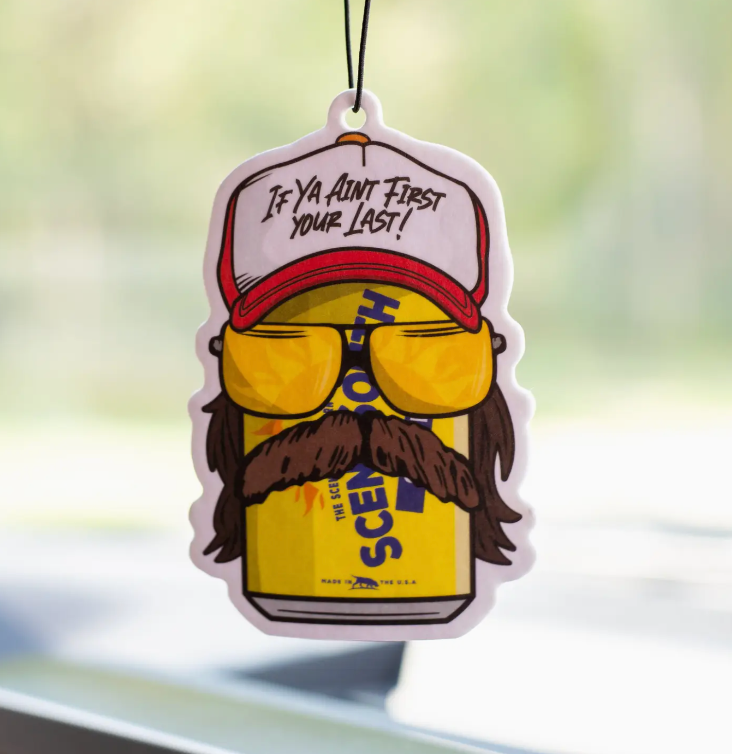 Scent South Air Freshener