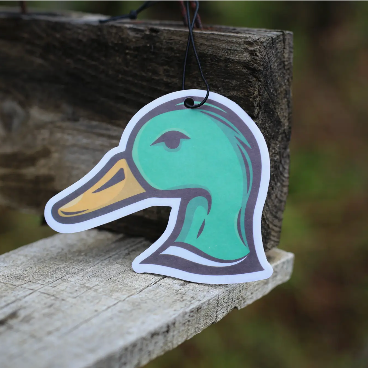 Scent South Air Freshener