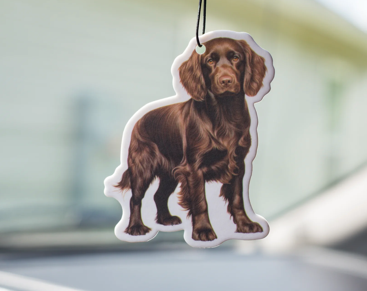 Scent South Air Freshener