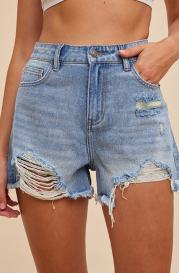 High Rise Distressed Denim Shorts